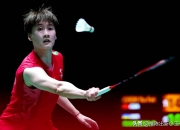 爱游戏大厅-法国队逆转德国队，陈雨菲惊艳四座