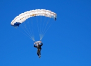 AYXapp下载-广厦激战黄蜂，文班亚马赛后评分拉满，新星闪耀还是体系奇迹？